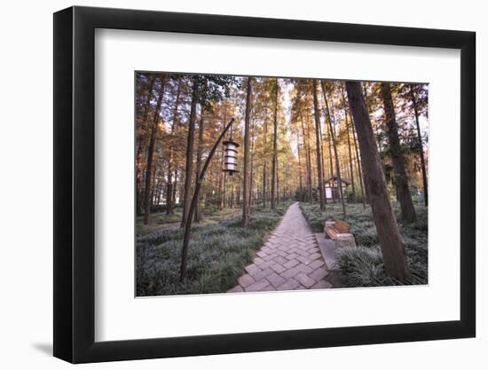 Forest Path with Bench and Lanterns in a West Lake Park, Hangzhou, Zhejiang, China, Asia-Andreas Brandl-Framed Photographic Print