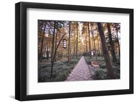 Forest Path with Bench and Lanterns in a West Lake Park, Hangzhou, Zhejiang, China, Asia-Andreas Brandl-Framed Photographic Print