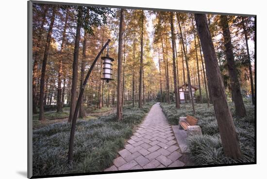 Forest Path with Bench and Lanterns in a West Lake Park, Hangzhou, Zhejiang, China, Asia-Andreas Brandl-Mounted Photographic Print