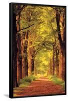 Forest Path-null-Framed Poster