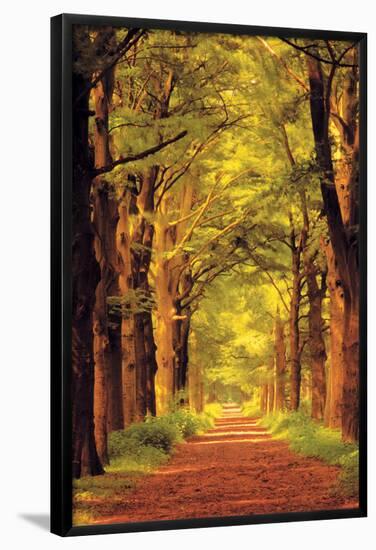 Forest Path-null-Framed Poster