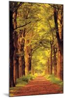 Forest Path-null-Mounted Poster