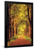 Forest Path-null-Framed Poster