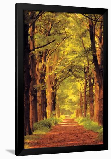 Forest Path-null-Framed Poster