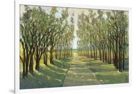 Forest Path-Tim OToole-Framed Art Print