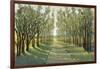 Forest Path-Tim OToole-Framed Art Print