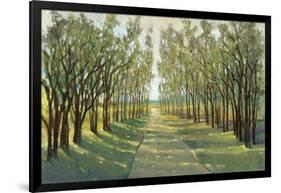 Forest Path-Tim OToole-Framed Art Print