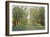 Forest Path-Tim OToole-Framed Premium Giclee Print