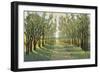 Forest Path-Tim OToole-Framed Premium Giclee Print