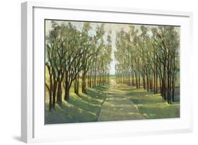 Forest Path-Tim OToole-Framed Art Print