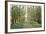 Forest Path-Tim OToole-Framed Art Print