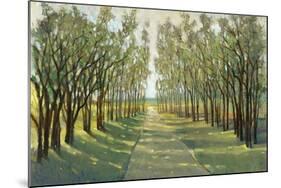 Forest Path-Tim OToole-Mounted Art Print