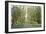 Forest Path-Tim OToole-Framed Art Print