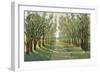 Forest Path-Tim OToole-Framed Art Print