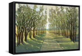 Forest Path-Tim OToole-Framed Stretched Canvas