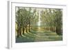 Forest Path-Tim OToole-Framed Premium Giclee Print