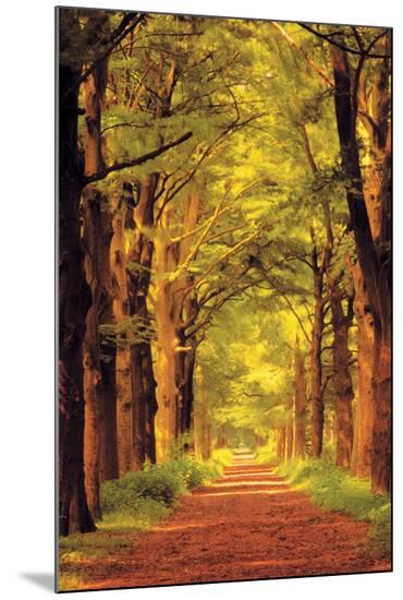 Poster, , large