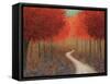 Forest Pathway Crop-James Wiens-Framed Stretched Canvas