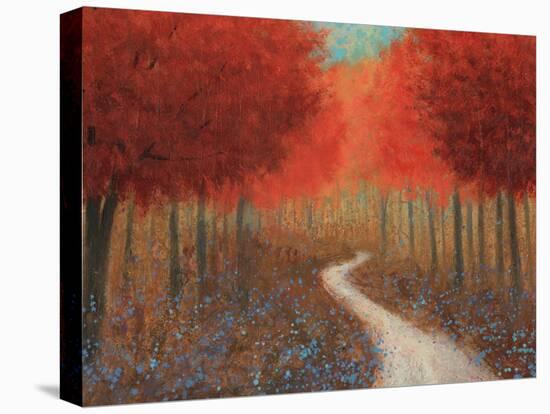 Forest Pathway Crop-James Wiens-Stretched Canvas