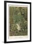 Forest Primeval-null-Framed Art Print