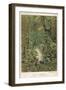 Forest Primeval-null-Framed Art Print