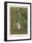 Forest Primeval-null-Framed Art Print