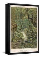 Forest Primeval-null-Framed Stretched Canvas