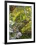 Forest Protector-Josephine Wall-Framed Giclee Print