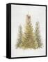 Forest Queen-PI Studio-Framed Stretched Canvas
