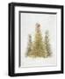 Forest Queen-PI Studio-Framed Art Print