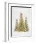 Forest Queen-PI Studio-Framed Art Print