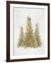 Forest Queen-PI Studio-Framed Art Print