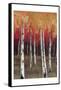 Forest Red 1-Sunny-Framed Stretched Canvas