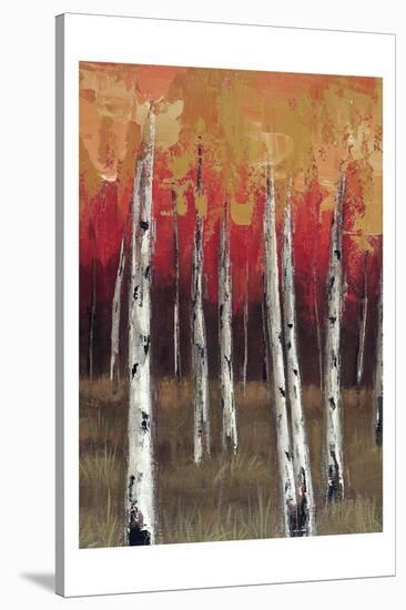 Forest Red 1-Sunny-Stretched Canvas