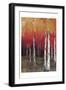 Forest Red 2-Sunny-Framed Art Print