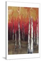 Forest Red 2-Sunny-Stretched Canvas