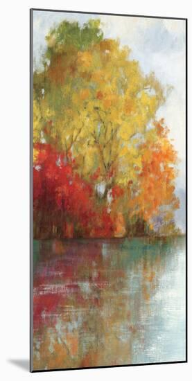 Forest Reflection II-Asia Jensen-Mounted Art Print