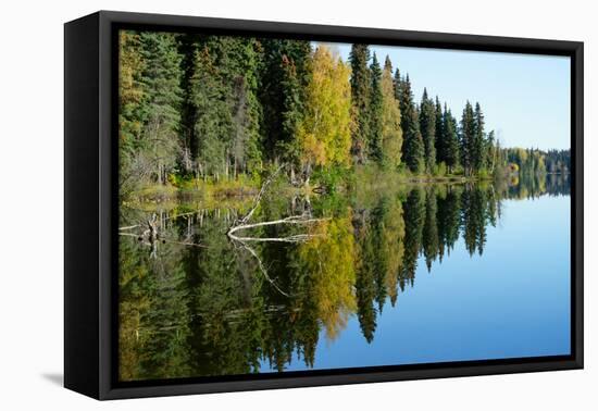 Forest Reflection in Lake-Latitude 59 LLP-Framed Stretched Canvas