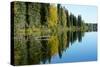 Forest Reflection in Lake-Latitude 59 LLP-Stretched Canvas