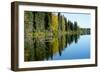 Forest Reflection in Lake-Latitude 59 LLP-Framed Photographic Print