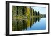 Forest Reflection in Lake-Latitude 59 LLP-Framed Photographic Print