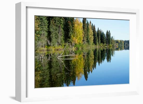 Forest Reflection in Lake-Latitude 59 LLP-Framed Photographic Print