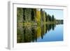 Forest Reflection in Lake-Latitude 59 LLP-Framed Photographic Print