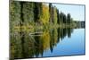 Forest Reflection in Lake-Latitude 59 LLP-Mounted Photographic Print