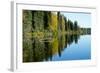 Forest Reflection in Lake-Latitude 59 LLP-Framed Photographic Print