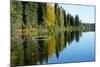 Forest Reflection in Lake-Latitude 59 LLP-Mounted Photographic Print