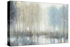 Forest Reflections 2-Norman Wyatt Jr.-Stretched Canvas