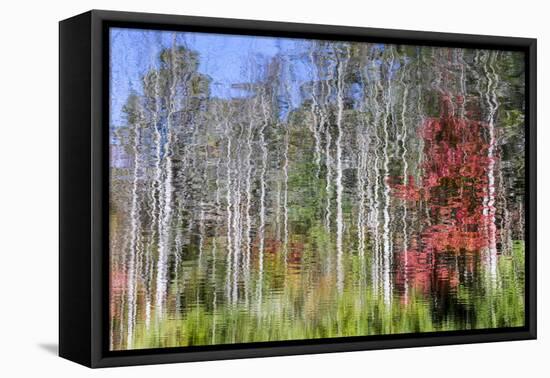 Forest Reflections I-Kathy Mahan-Framed Stretched Canvas