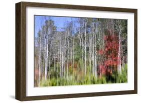 Forest Reflections I-Kathy Mahan-Framed Photographic Print