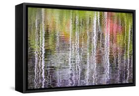Forest Reflections II-Kathy Mahan-Framed Stretched Canvas